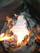 burn novel